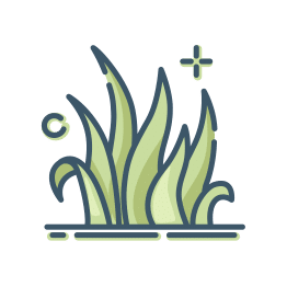 icon2